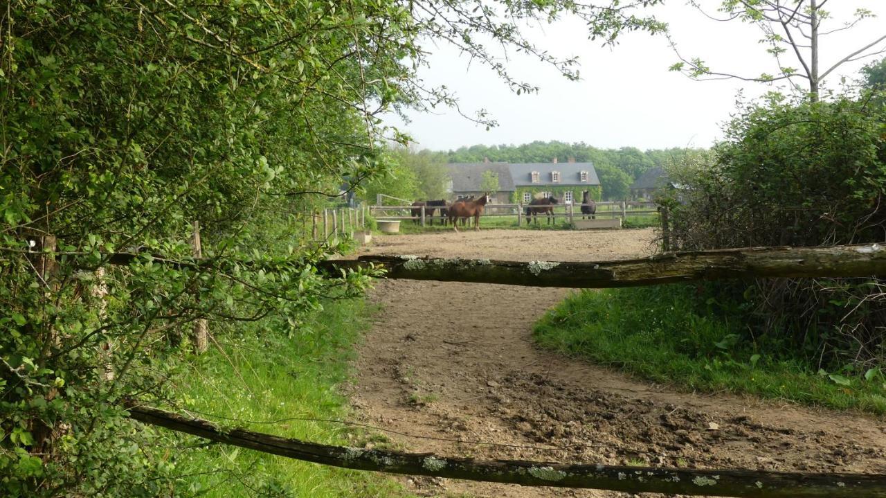 La Petite Lande Bed and Breakfast Ménil Eksteriør billede
