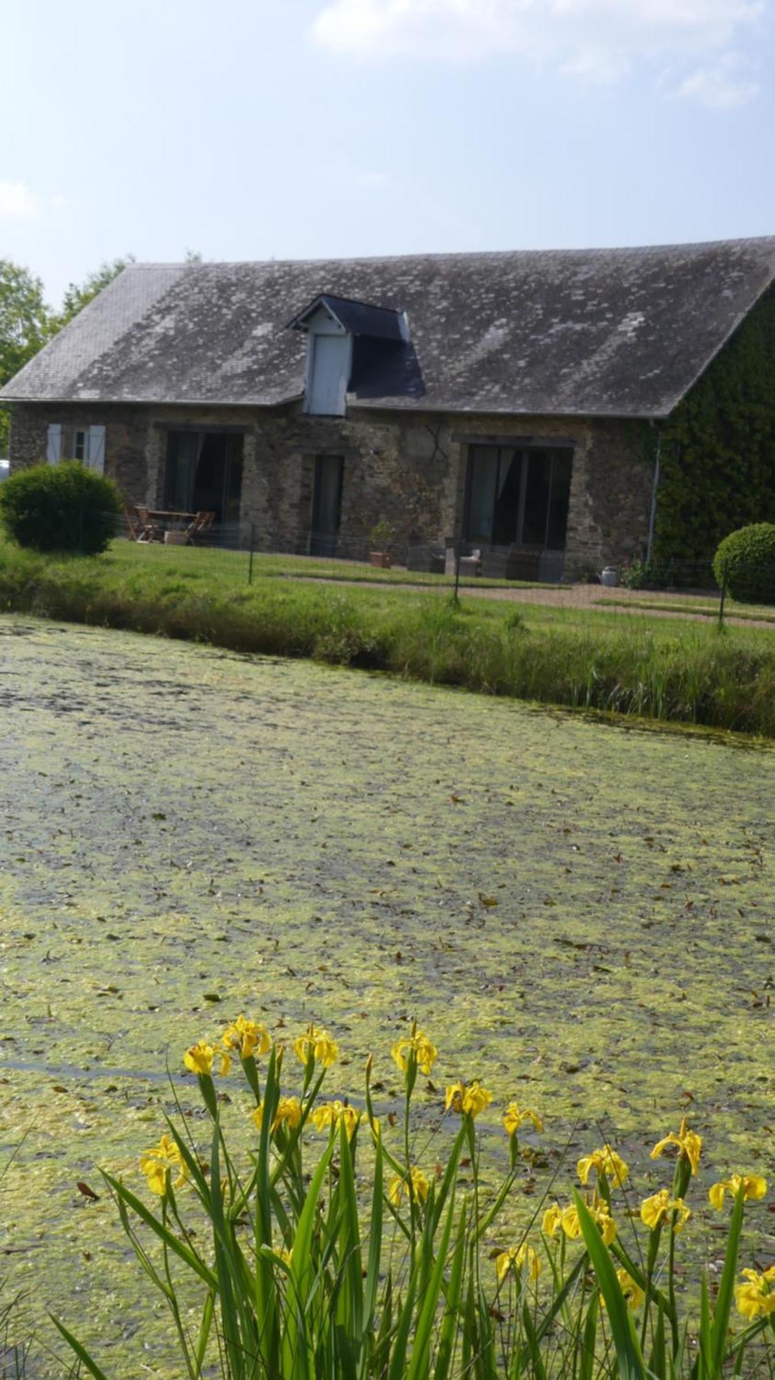 La Petite Lande Bed and Breakfast Ménil Eksteriør billede
