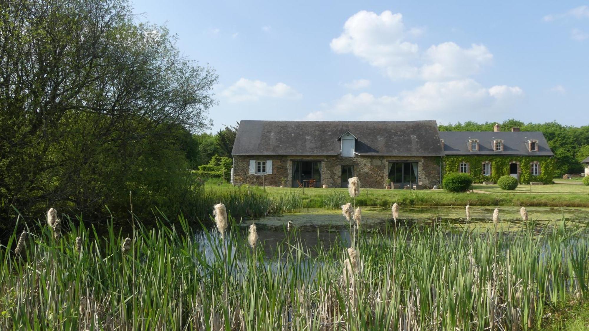 La Petite Lande Bed and Breakfast Ménil Eksteriør billede