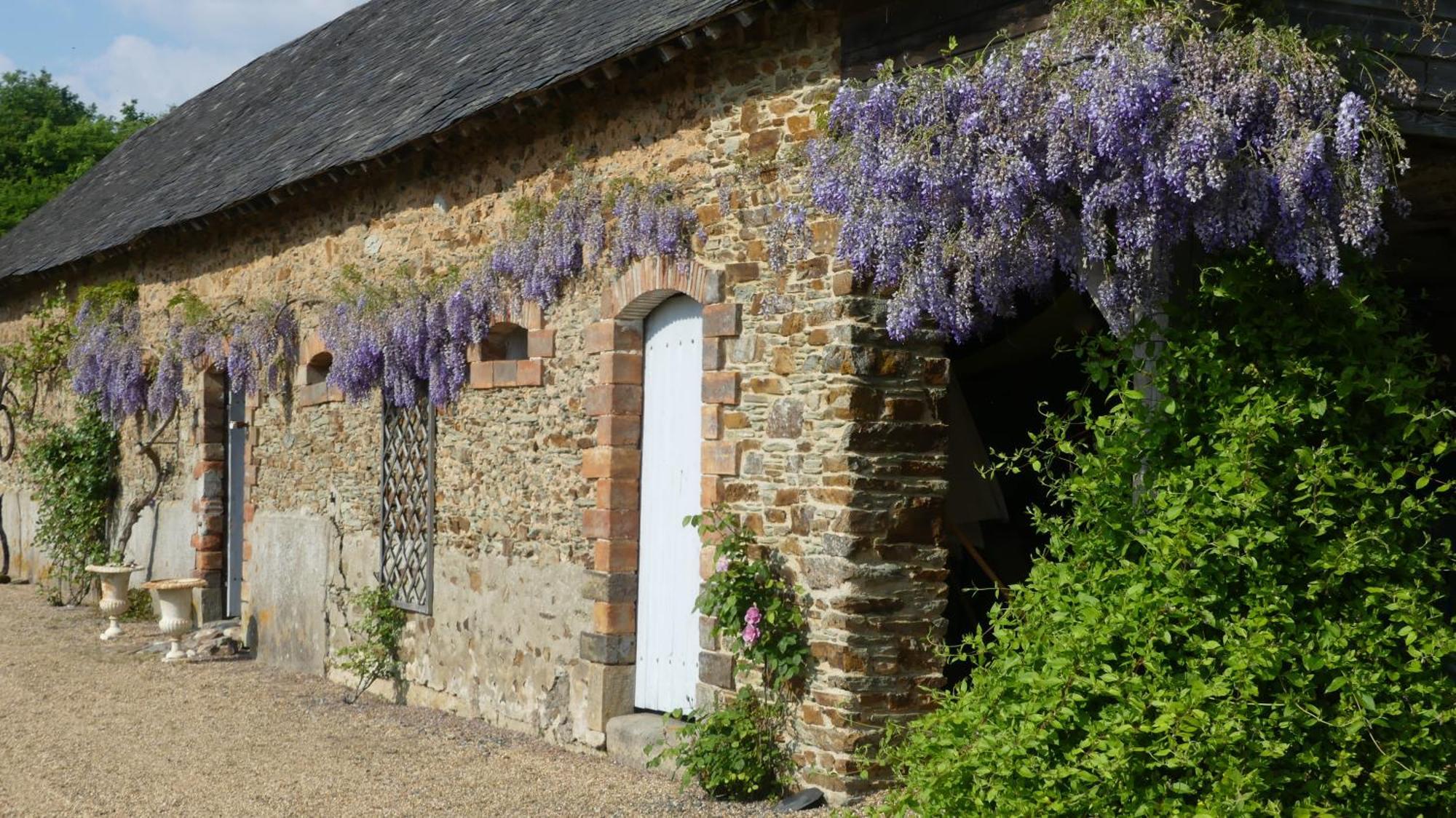 La Petite Lande Bed and Breakfast Ménil Eksteriør billede